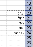 excel_validation5.gif