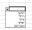 excel_validation6.gif